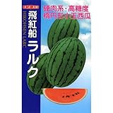スイカ 種 【 飛紅船ラルク 】 種子 小袋（約8粒）