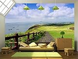 wall26 – 自己粘着壁紙大壁壁画シリーズ 66"x96" WMR-WP-X-DB27-66x24x4