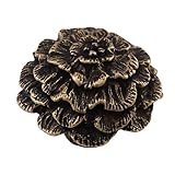 Vicenza Designs K1217 Carlotta Carnation Knob, Large, Antique Brass by Vicenza Designs