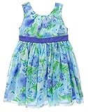 Gymboree Baby Toddler Girls' Blue Floral Dress with Back Bow Multi 4T [並行輸入品]