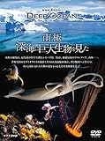 NHK�X�y�V���� �f�B�[�v �I�[�V���� ��� �[�C�ɋ��吶��������