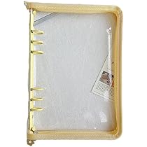 金色のコルダ　バインダー　当選品 51OSjOvS93L._AC_UL210_SR210,