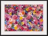 LUHSICE ダイヤモンドアート キット 花が咲く 手芸キット 小さいサイズ 35x45cm