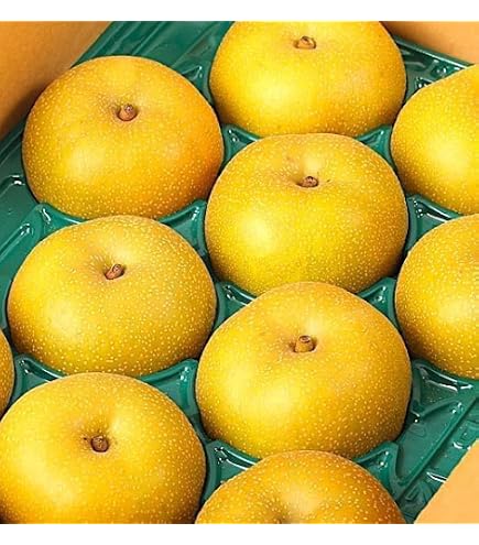 Amazon.co.jp: 千葉梨 梨 約5kg 幸水 秀品～優品 贈答規格 出荷量全国