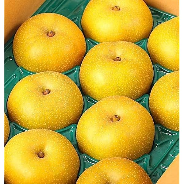 Amazon.co.jp: 国産 豊水梨5kg 中玉 20玉～30玉 1ケース