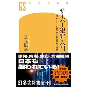 サイバー犯罪入門 国もマネーも乗っ取られる衝撃の現実 (幻冬舎新書)