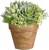 アビテ 造花 観葉植物 ミックスサキュレントポット IL-501-AA