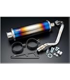 Amazon | HMS ヤマハ マジェスティ250 (JBK-SG20J/4D9) 2007年