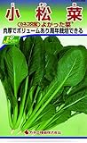 カネコ種苗 野菜タネハイクオリティ258 小松菜 よかった菜 10袋セット