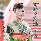 �V��̗���