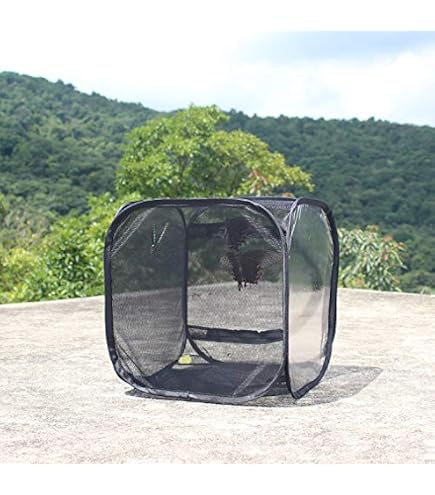 Hiboom 6 Pcs Mini Butterfly Habitat Cage Bulk Clear Mesh Butterfly Net