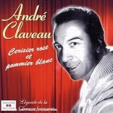 Cerisier Rose Et Pommier Blanc