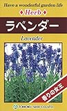 トーホク ラベンダー