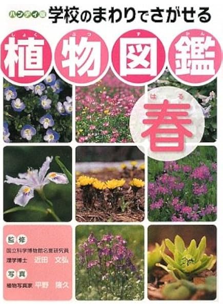 ハンディ版 学校のまわりでさがせる植物図鑑 春 文弘 近田 隆久 平野 本 通販 Amazon