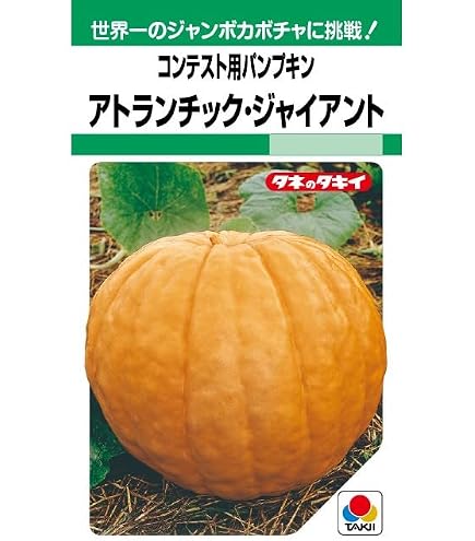 ☆N.T ☆！長崎県産坊っちゃんかぼちゃ20個 Amazon.co.jp: 坊っちゃんかぼちゃ種 20粒 : DIY・工具・ガーデン
