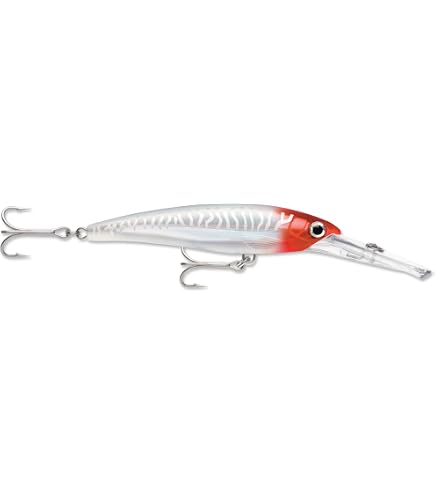 Amazon.co.jp: ラパラ(Rapala) エックスラップマグナム XR40MAG-HDRHU