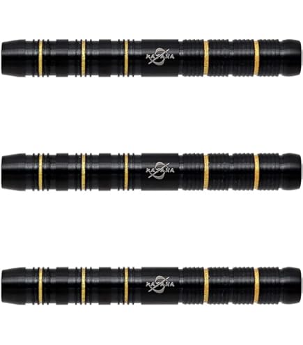 ダーツ Horaizon ダーツボード ダーツ Horizon ZX FULL FACE PARASPORT