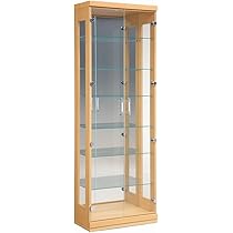 51ObWUWUwaL._AC_UL210_SR210,