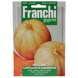 野菜の種 イタリアンメロン cantal ipo di Charentais 91/5