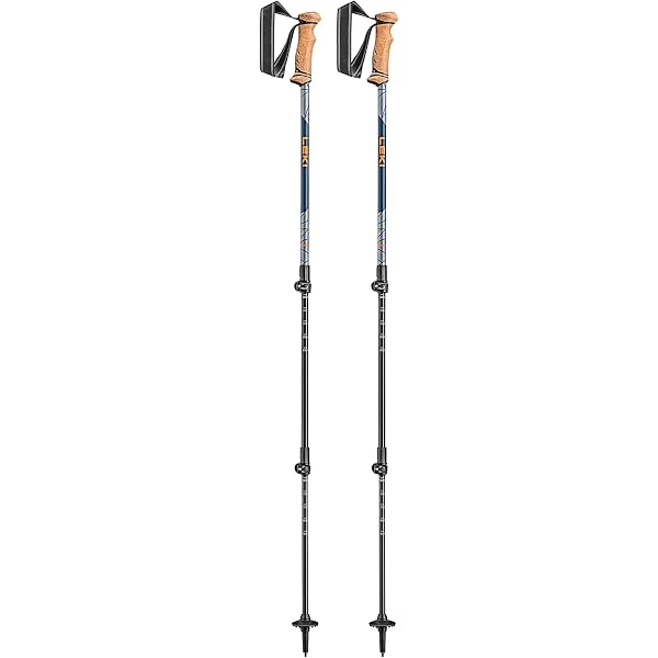 Amazon.co.jp: Black Diamond Equipment – トラバース3 スキーポール