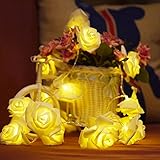 FLOVEME LED 20球2m ローズ ストリングライト ledイルミネーションライト ストリングライト イルミネーション 屋外 発光モード パーティー 新年 結婚式 クリスマスなどの祝日用