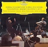 �h���H���U�[�N:�`�F�����t��/�`���C�R�t�X�L�[:���R�R�̎��ɂ��ϑt��