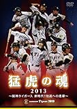�ҌՂ̍�2013 ��_�^�C�K�[�X �V����!�`���ւ̐i��