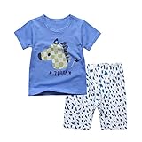 (ビメイゴー) Bmeigo 子供服 男の子 パジャマ ルームウェア 寝間着 半袖 綿 ゼブラ 恐竜柄 春 夏 部屋着 Ｔシャツ ハーフパンツ セット 男児 幼児服 90-145cm 柔らかい 可愛い