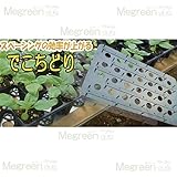 でこちどり 40角穴トレー 【ポット 移動が楽々】 メグリーン タ種代不