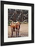 AshleyフレームプリントTexas Longhorn、壁アートホーム装飾、ag5436334 30x26 Black Frame 5436334-AFPP1-BC16