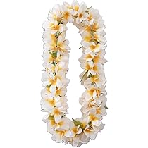 【新品未使用】ヘッドバンド　プルメリア(白)5本 新品未使用】ヘッドバンド プルメリア(白)5本