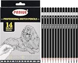 14本セット デッサン スケッチ 絵画 アート用 鉛筆 6H 4H 2H H HB F B 2B 3B 4B 6B 8B 10B 12B，絵画、スケッチ、デッサンに最適、初心者・プロ用アーティスト鉛筆