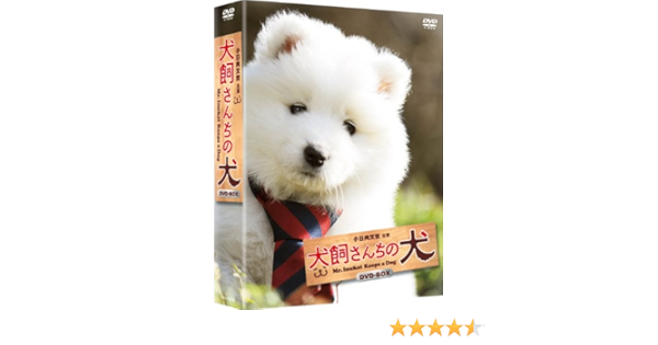 気質アップ 映画版 犬飼さんちの犬 Dvd 品 魅力的な Theblindtigerslidell Com