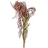 東京堂 ドライフラワー ヒモケイトウ  #レッド FD003168-003