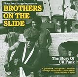 Brothers on the Slide