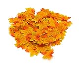 beebelパッケージの約250 Assorted Fall ColoredシルクMaple Leaves for秋や結婚式パーティー BB2016112218
