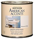 Rust-Oleum 7930730 American Accents 1/2 Pint Latex, Satin Blossom White [並行輸入品]
