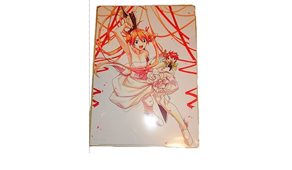 Amazon 赤松健 原画展 クリアファイル 魔法先生ネギま アニメ 萌えグッズ 通販