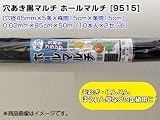 1本あたり600円！ 穴あき黒マルチ ホールマルチ [9515] 0.02mm×95cm×50m [穴径45mm×5条×株間15cm×条間15cm]（10本入×2セット）