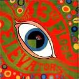 PSYCHEDELIC SOUNDS OF... (サイケデリック・サウンズ・オブ<デラックス・エディション>)(直輸入盤・帯・ライナー付き)