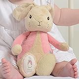 Rainbow Designs Peter Rabbit My First Flopsy Bunny