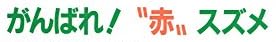 児童書『[子ども科学図書館シリーズ] がんばれ！赤スズメ』で使われている【ゴナ】