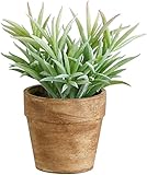 アビテ 造花 観葉植物 グリーンポット・L-マンネングサ IL-120-AA