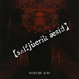 �ysalfjuerik aesid�z