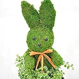 ほんまもん屋 アニマルトピアリーモス (うさぎ)