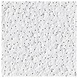 USG Interiors 1004 2-feet by 2-feet Alpine天井タイル、16パック