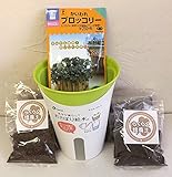ミエルノポットで育てる ブロッコリースプラウト栽培セット