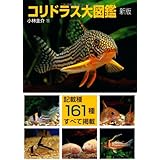 コリドラス大図鑑　新版 (アクアライフの本)