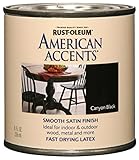 Rust-Oleum 7946730 American Accents 1/2 Pint Latex, Satin Canyon Black [並行輸入品]