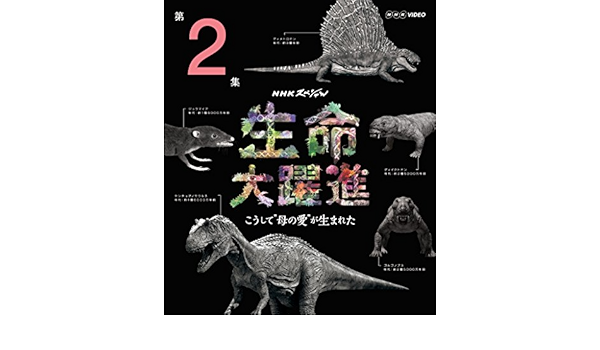 Amazon Co Jp ｎｈｋスペシャル 生命大躍進 第２集 Blu Ray Dvd ブルーレイ